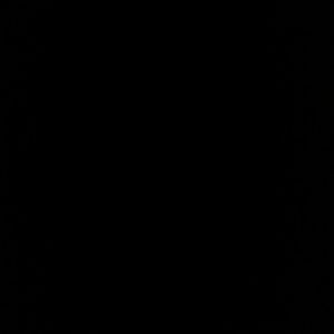 Meet your Posher, Lynette